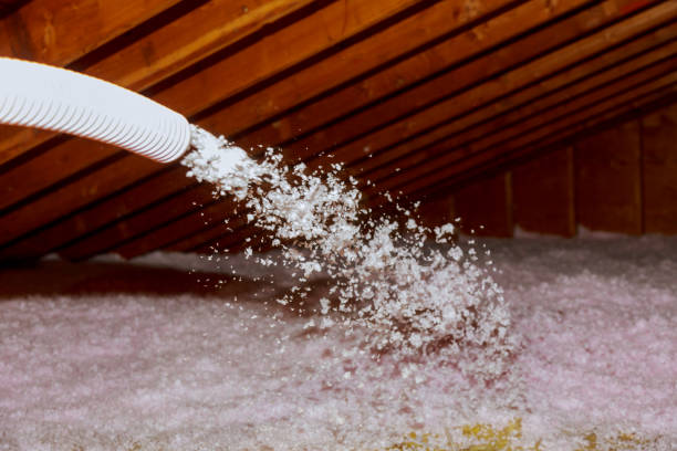 Best Commercial Insulation Contractor  in Enterprise, NV