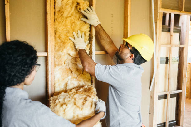 Insulation Replacement Services in Enterprise, NV