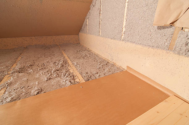 Best Insulation for New Construction  in Enterprise, NV